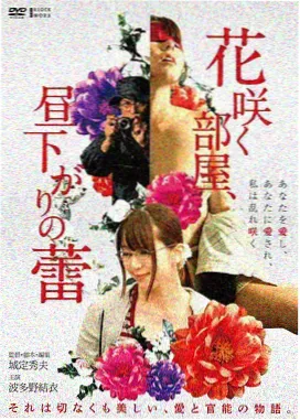 本周飙升免费电影